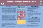 Hidden Truth: Life Without a Roof