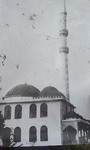 Donja Puharska Mosque by András Riedlmayer