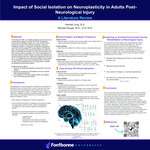 Impact of Social Isolation on Neuroplasticity in Adults Post-Neurological Injury