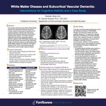 White Matter Disease and Subcortical Vascular Dementia: Interventions for Cognitive Deficits and a Case Study