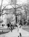 University Archives Photos: 2147 by Fontbonne College