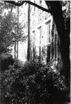 University Archives Photos: 2649 by Fontbonne College