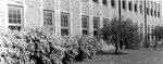 University Archives Photos: 2672 by Fontbonne College
