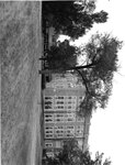 University Archives Photos: 2703 by Fontbonne College